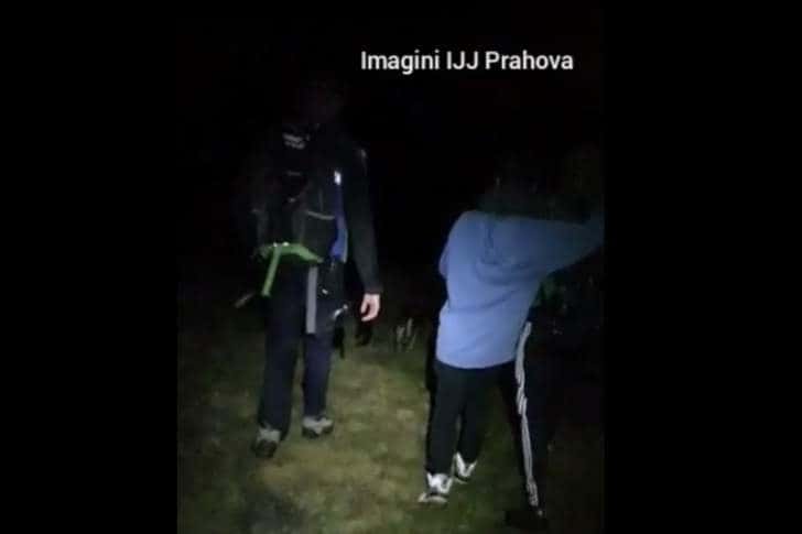 Amenințarea urșilor, dublată, pe trasele din Bucegi, de câinii hoinari sau de la stâne!