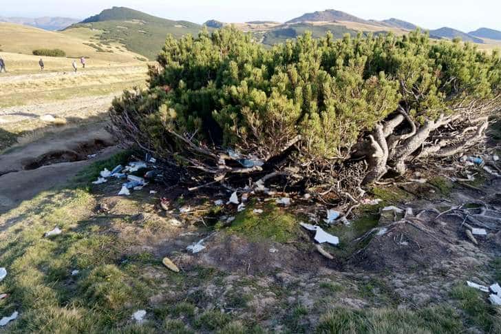 Jnepenii din Parcul Natural Bucegi au ajuns toaleta publică și groapa de gunoi a turiștilor!