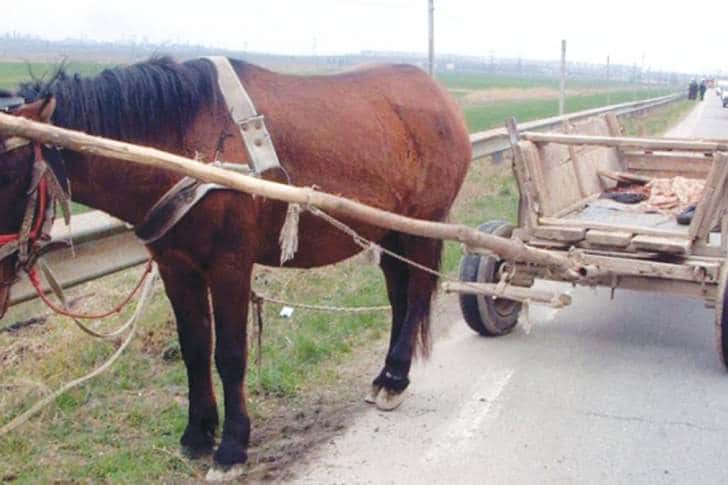 Băut, a căzut din căruță și a ajuns la spital 