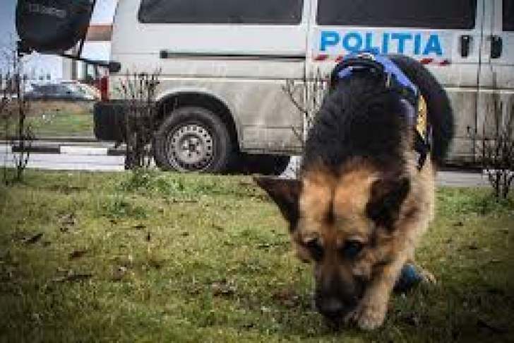 UPDATE Un bărbat de 33 de ani din comuna Brazi, dat dispărut de familie, căutat de pompieri, polițiști, jandarmi și un câine de urmă