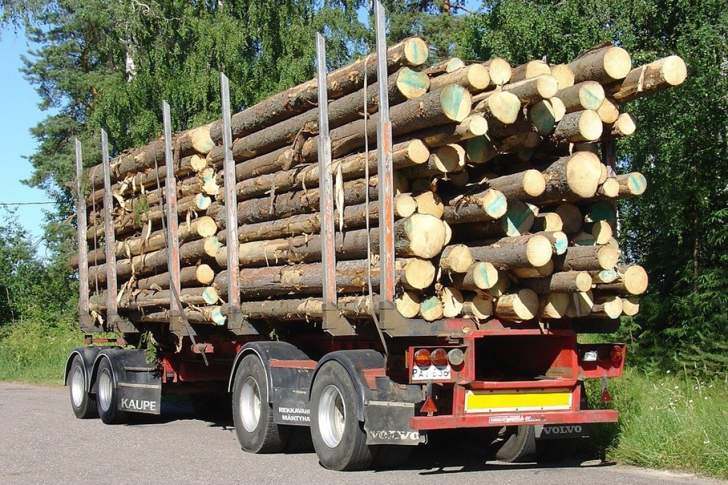 “Inspectorul Pădurii”, blocat de SUMAL 2.0! Care, la rândul său, are probleme...