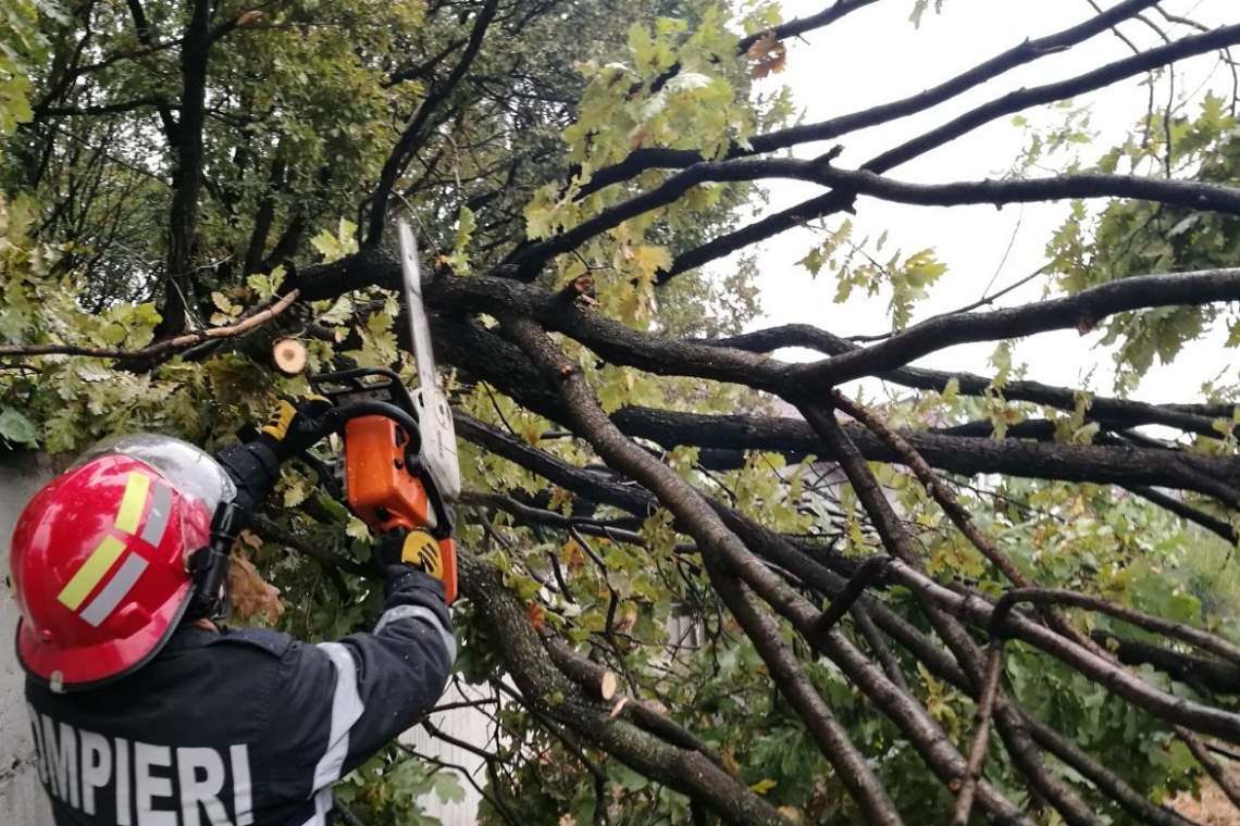 Calea ferată Ploiești-Slănic, blocată la Plopeni de un copac prăbușit pe șine