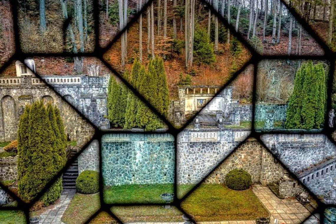 100 de brăduți vor fi plantați pe Domeniul Regal Peleș la 100 de ani de la nașterea Regelui Mihai