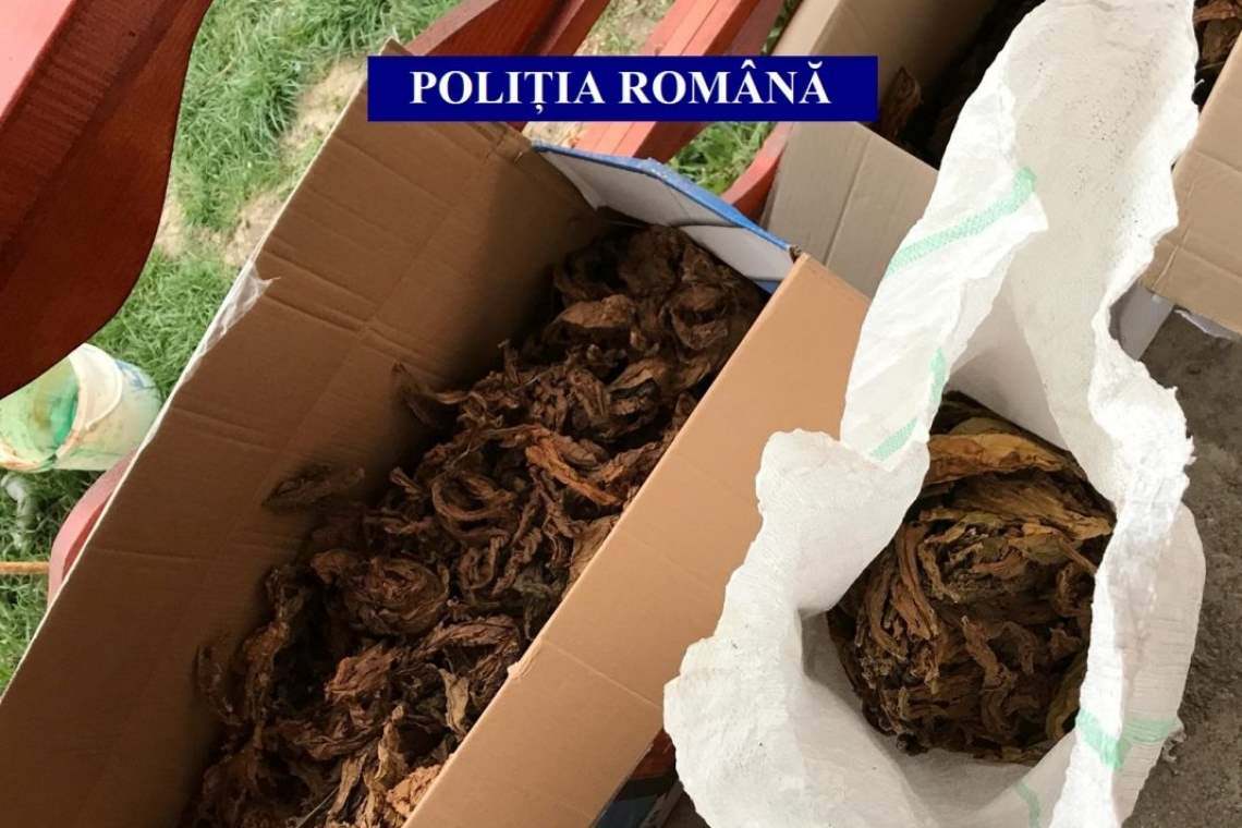 Percheziții în Prahova într-un dosar de comerț ilegal de tutun, prin curierat și servicii poștale