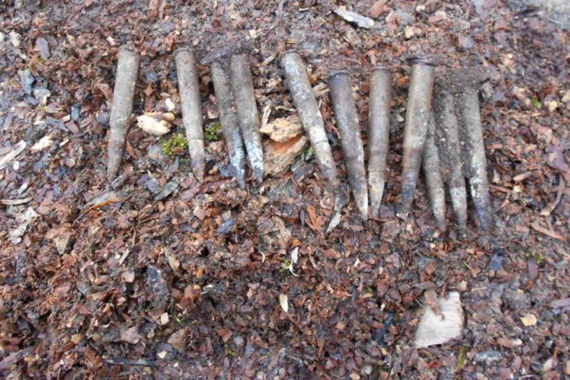 Au dat de muniție din al Doilea Război Mondial în timp ce săpau la o fundație, în Poienarii Burchii