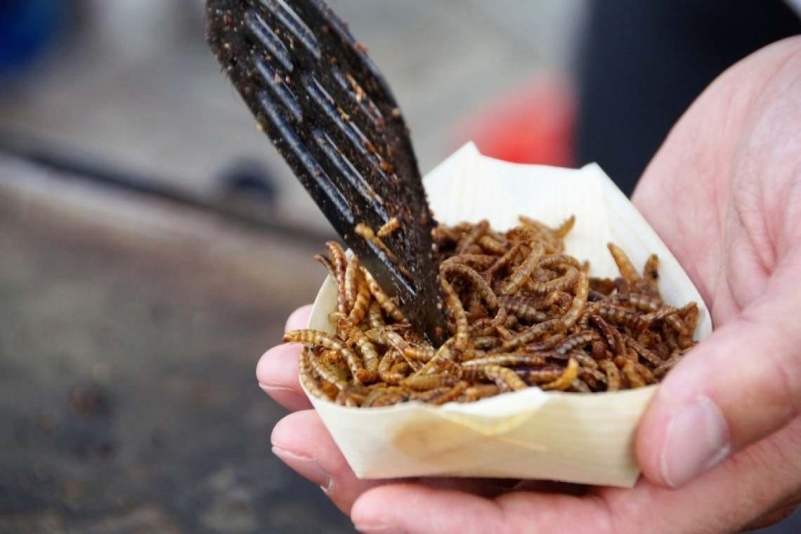 Comisia Europeană autorizează prima insectă-aliment în statele membre UE
