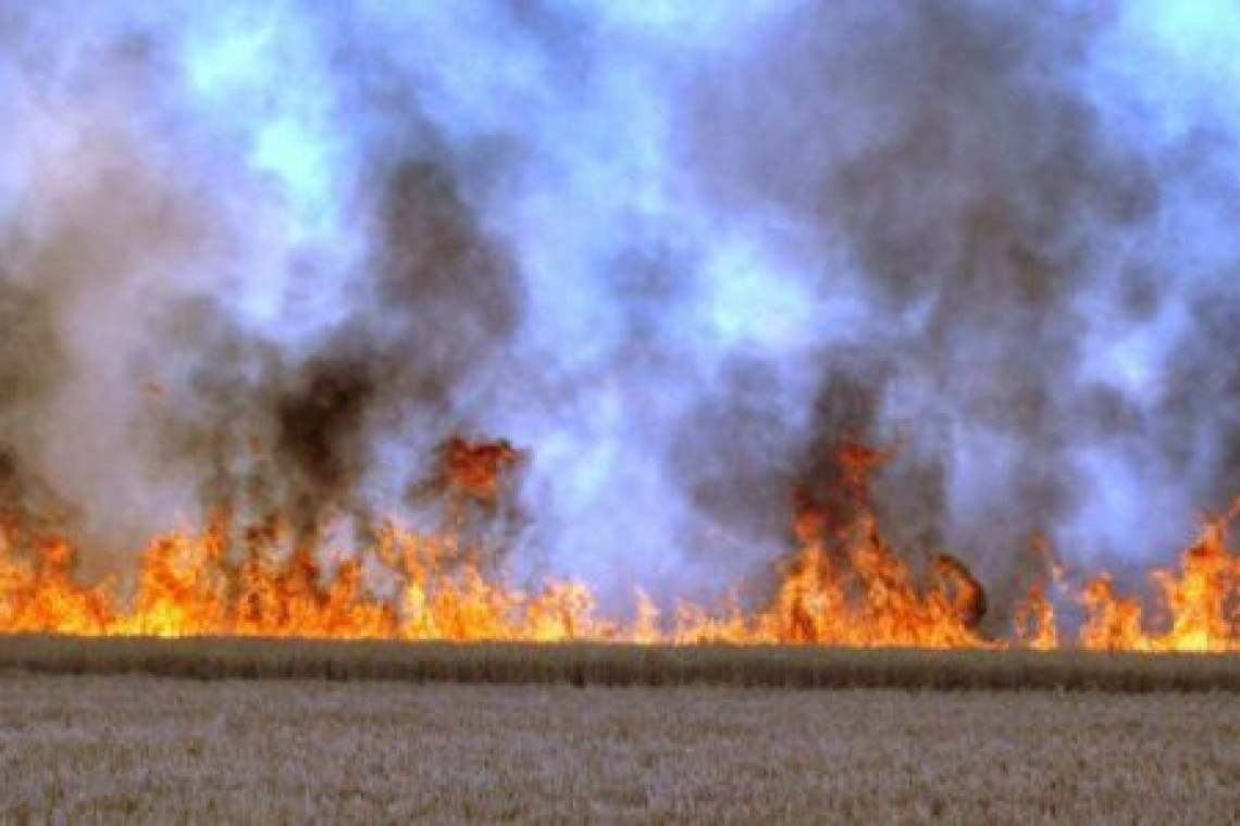 Incendiu de mărăciniș, într-o pădure din comuna Șotrile. Pompierii au mers pe jos trei kilometri pentru a stinge flăcările