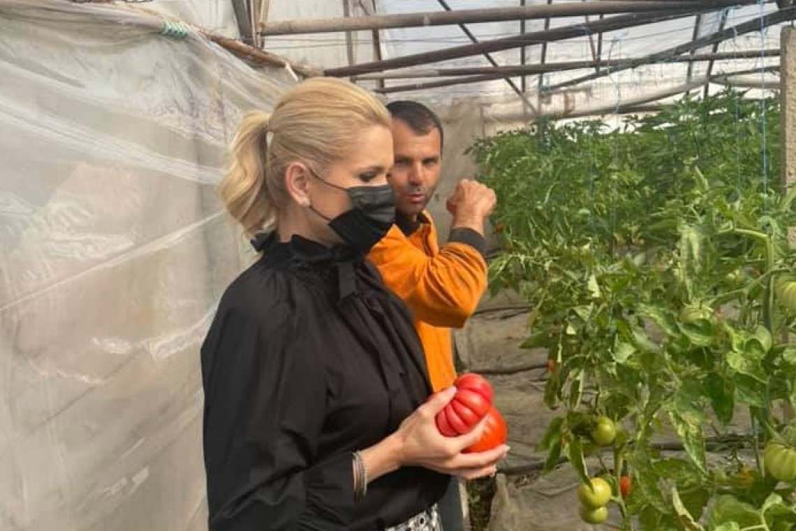 Laura Fulgeanu-Moagher, vicepreședinte PSD Prahova, alături de legumicultorii din sudul Prahovei