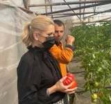 Laura Fulgeanu-Moagher, vicepreședinte PSD Prahova, alături de legumicultorii din sudul Prahovei