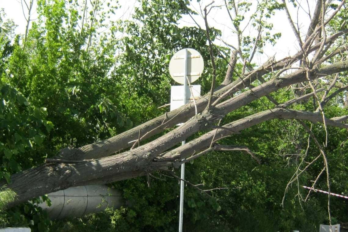 Vântul puternic a prăvălit copaci și un stâlp de curent electric, în Prahova. 17 trenuri au avut întârzieri pe ruta Ploiești-București