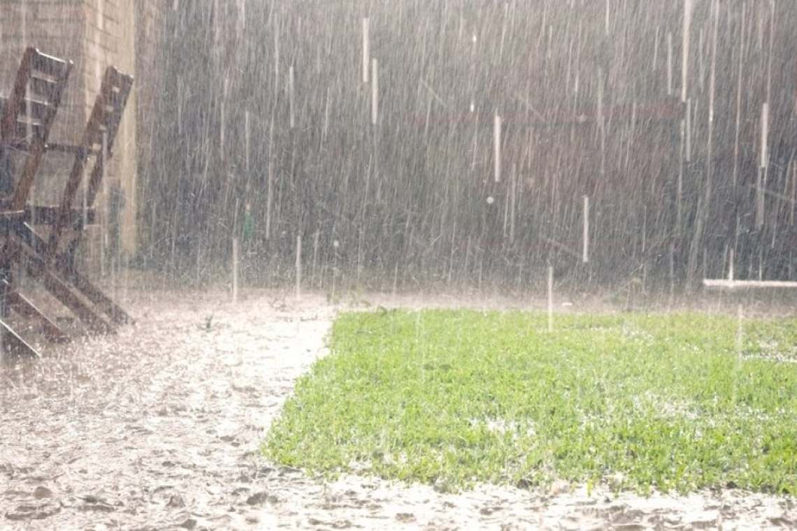 Curți și imobile inundate, copaci căzuți, întreruperi de energie electrică din cauza ploilor, în Prahova