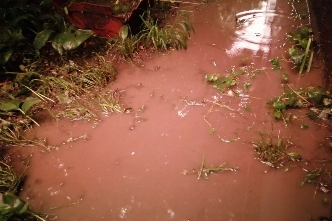 Inundații în Ștefești și arbori căzuți pe carosabil, în urma furtunii