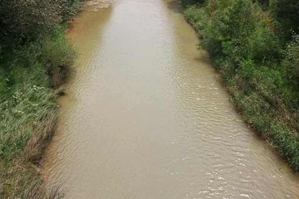 S-au umflat apele Cricovului, la Băltița