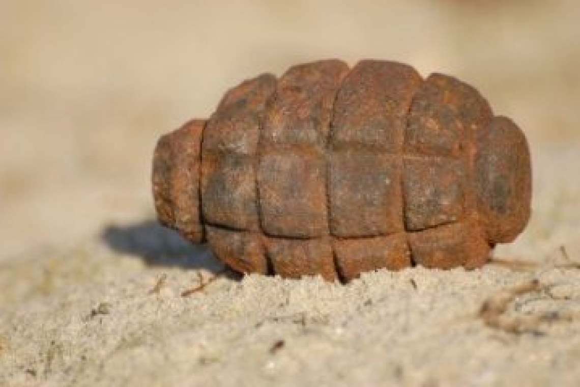 Grenadă găsită într-o curte din Ploiești