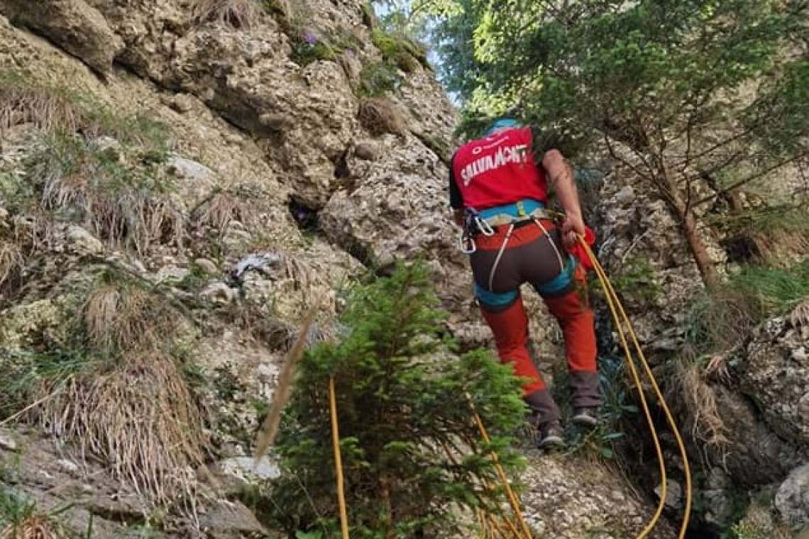 Mobilizare impresionantă de forțe pentru căutarea tânărului dispărut în Bucegi