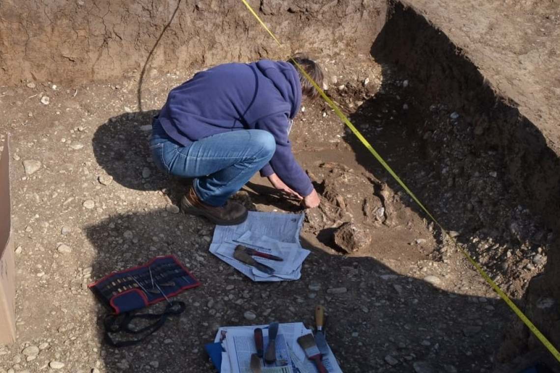 Un nou mormânt vechi de mii de ani, scos la lumină de arheologii prahoveni, la Târgșoru Nou. În tumul era îngropat un copil