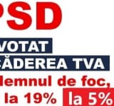 Proiect PSD: Lemnul de foc va fi mai ieftin, de la 1 Decembrie!