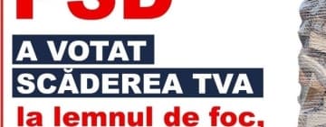 Proiect PSD: Lemnul de foc va fi mai ieftin, de la 1 Decembrie!