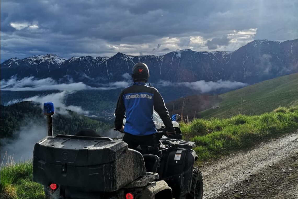Dacă mergeți la munte în minivacanța de 1 Decembrie, atenție la animalele sălbatice! 