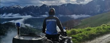 Dacă mergeți la munte în minivacanța de 1 Decembrie, atenție la animalele sălbatice! 