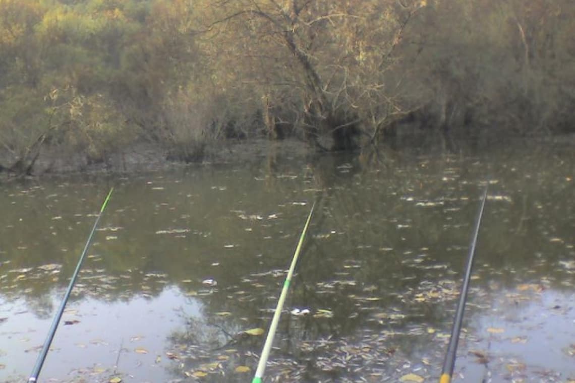 Un bărbat s-a electrocutat în timp ce se afla la pescuit, pe o baltă din Lipănești