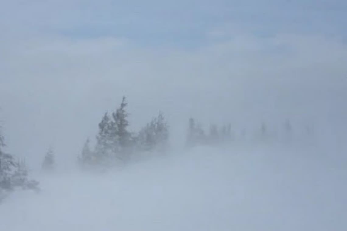 Cod galben de vânt și ninsori în zona montană înaltă a Prahovei