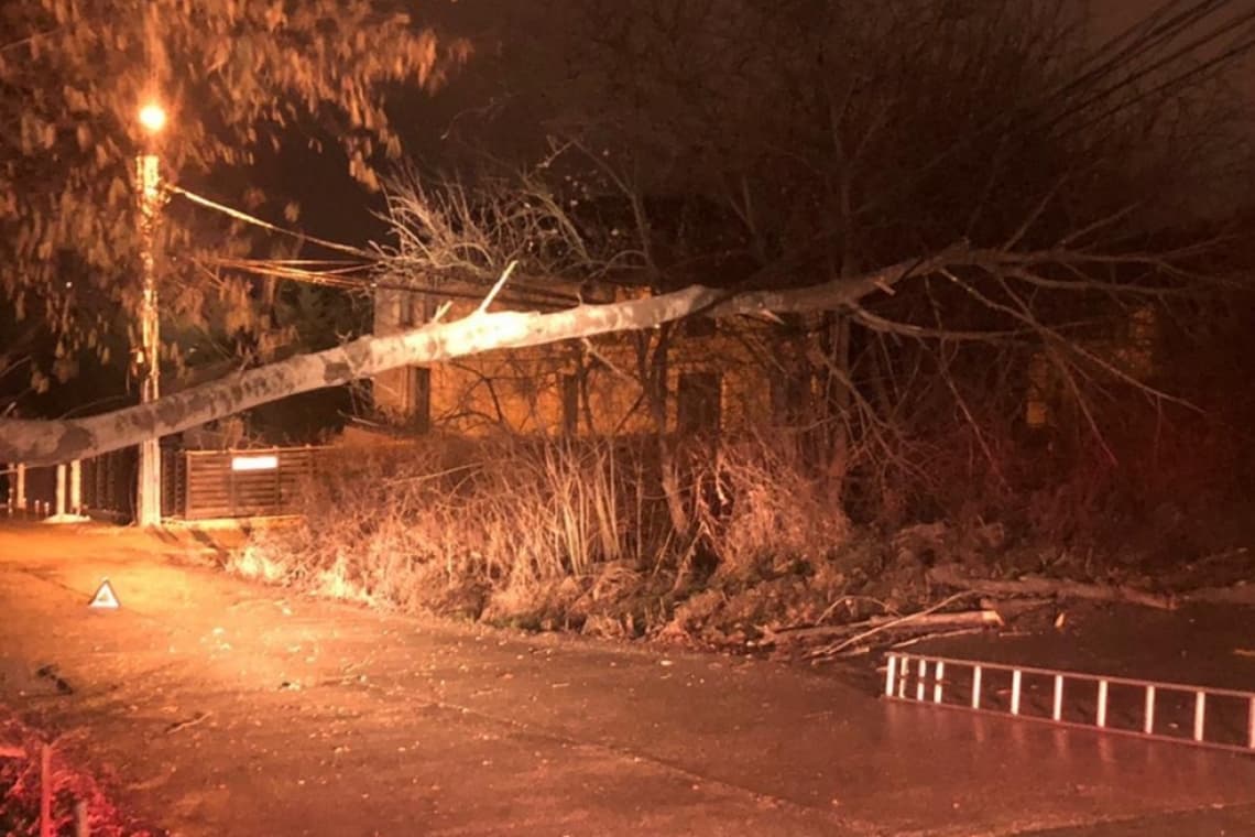 Oameni în beznă, la Valea Doftanei, din cauza unui arbore căzut pe firele electrice