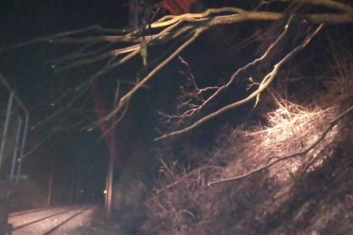 Un tren de călători a fost blocat două ore și jumătate, lângă Comarnic, din cauza unui arbore căzut pe firele de contact