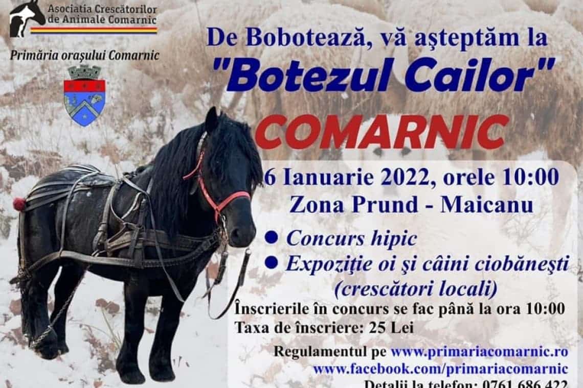 Botezul Cailor de la Comarnic, completat, anul acesta, cu expoziții de oi și câini de stână