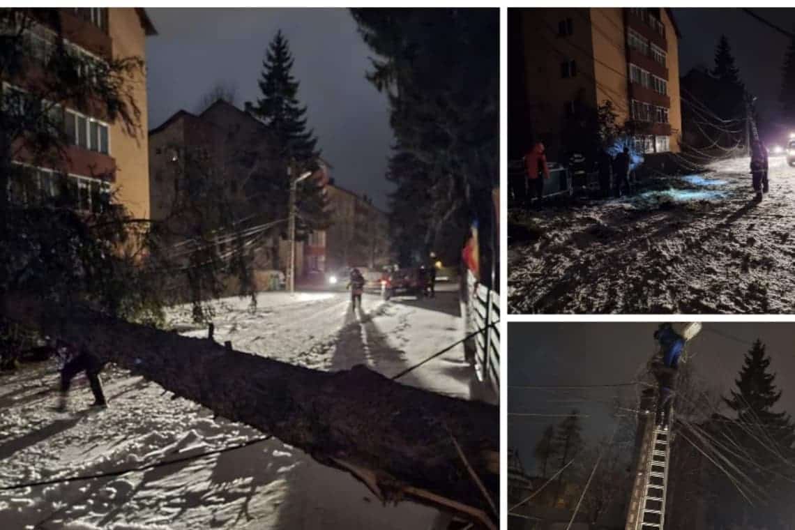 Pagube produse de rafalele puternice de vânt, la Bușteni