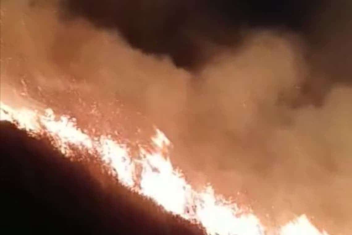 Pericol major la Boldești-Scăeni. Un incendiu puternic riscă să se apropie de sondele de pe dealurile din zonă