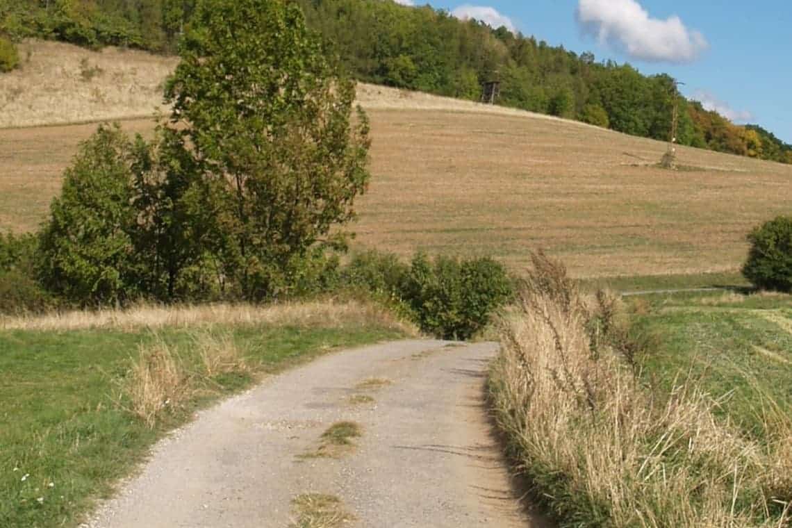 35 de dosare din comuna Bătrâni, analizate în Comisia Județeană de fond funciar