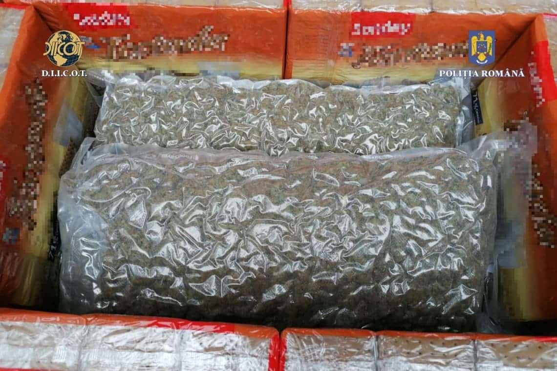 Percheziții în Prahova, la membrii unei grupări de traficanți de droguri. Coletele veneau din Spania, prin curier
