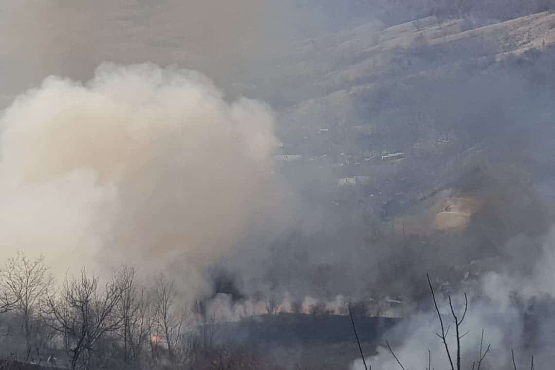 UPDATE/Flăcări pe dealurile din Ceptura, unde focul a mistuit și stupi cu albine!