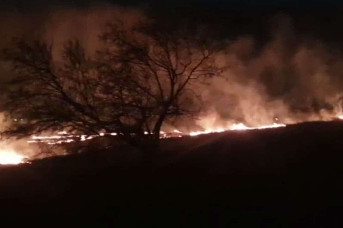 Video/ Incendiu pe 50 de hectare, la Boldești-Scăeni. Mai multe echipaje de pompieri intervin pentru stingerea focarelor