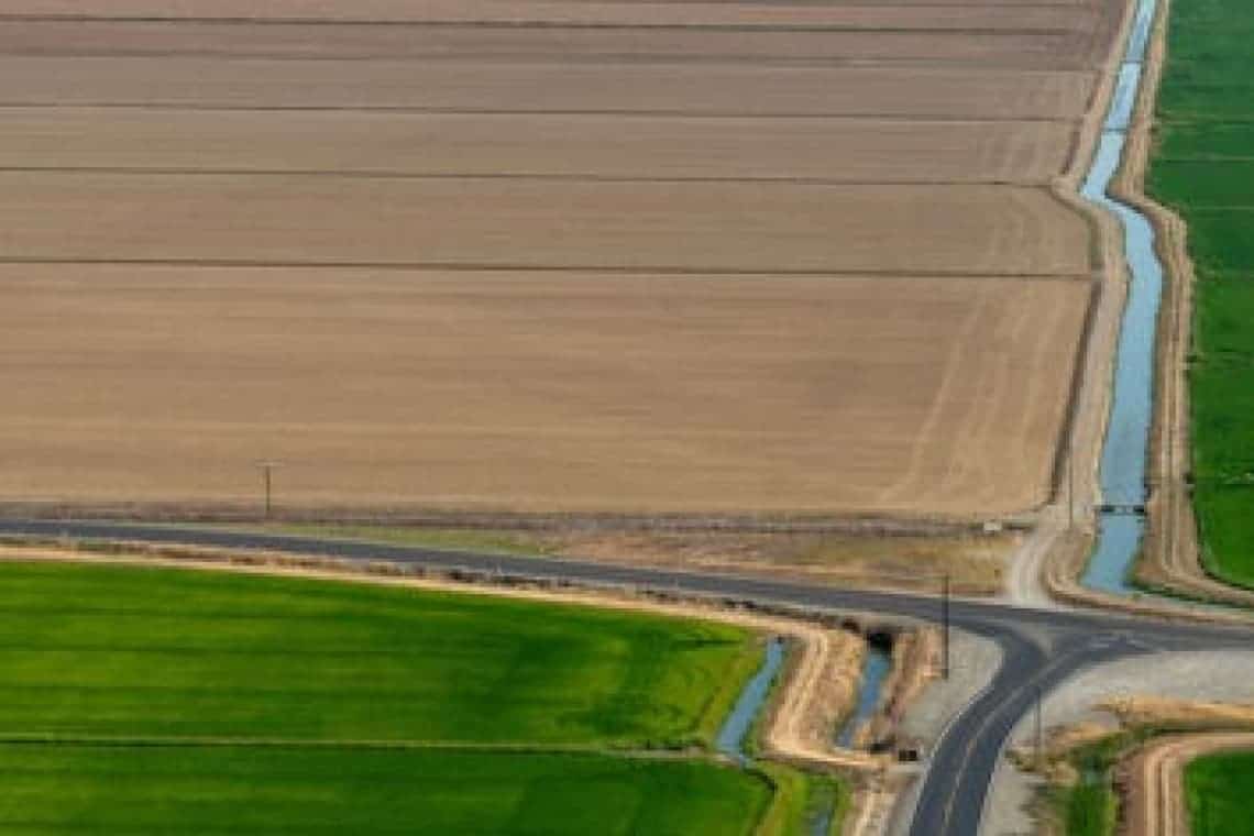 Aproape 2.600 de fermieri din Prahova au depus cereri unice de plată pentru anul 2022