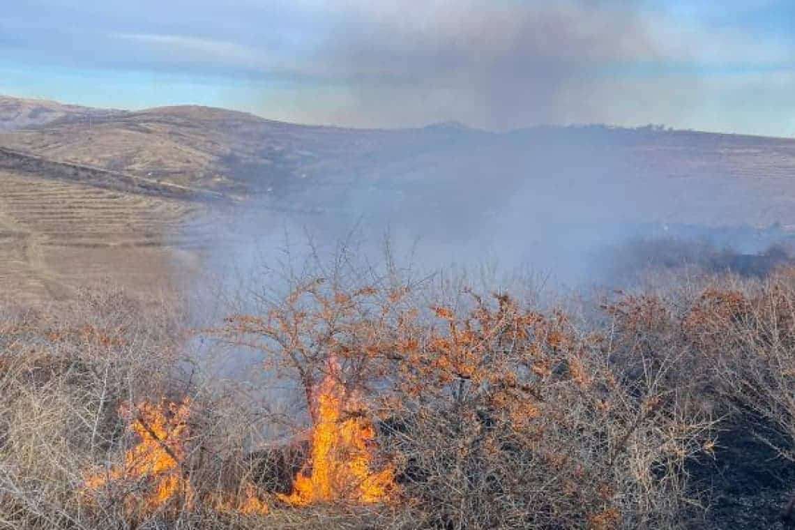 Incendiile de vegetație au făcut prima victimă în Prahova. Un bărbat a murit la Posești