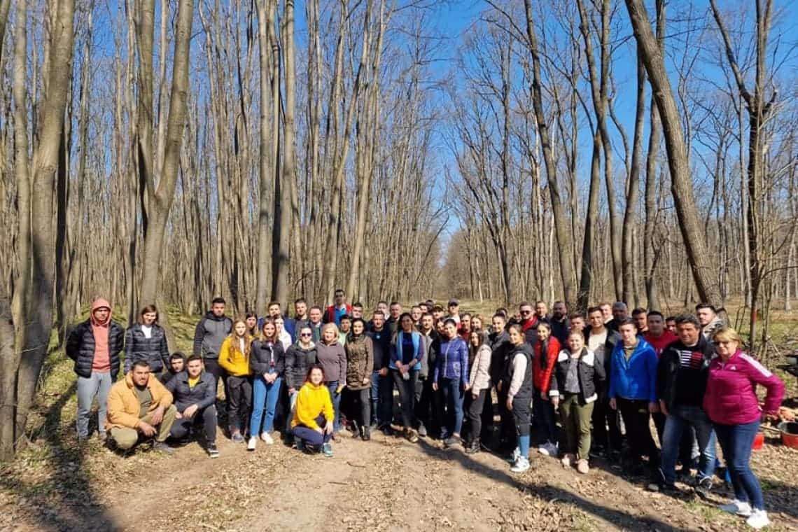 Tinerii social-democrați prahoveni, campanie de împădurire la Balta Doamnei