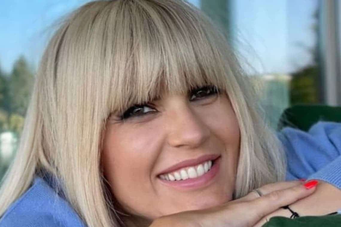 Elena Udrea, condamnată definitiv la 6 ani de închisoare. Și un prahovean a primit o pedeapsă în același dosar
