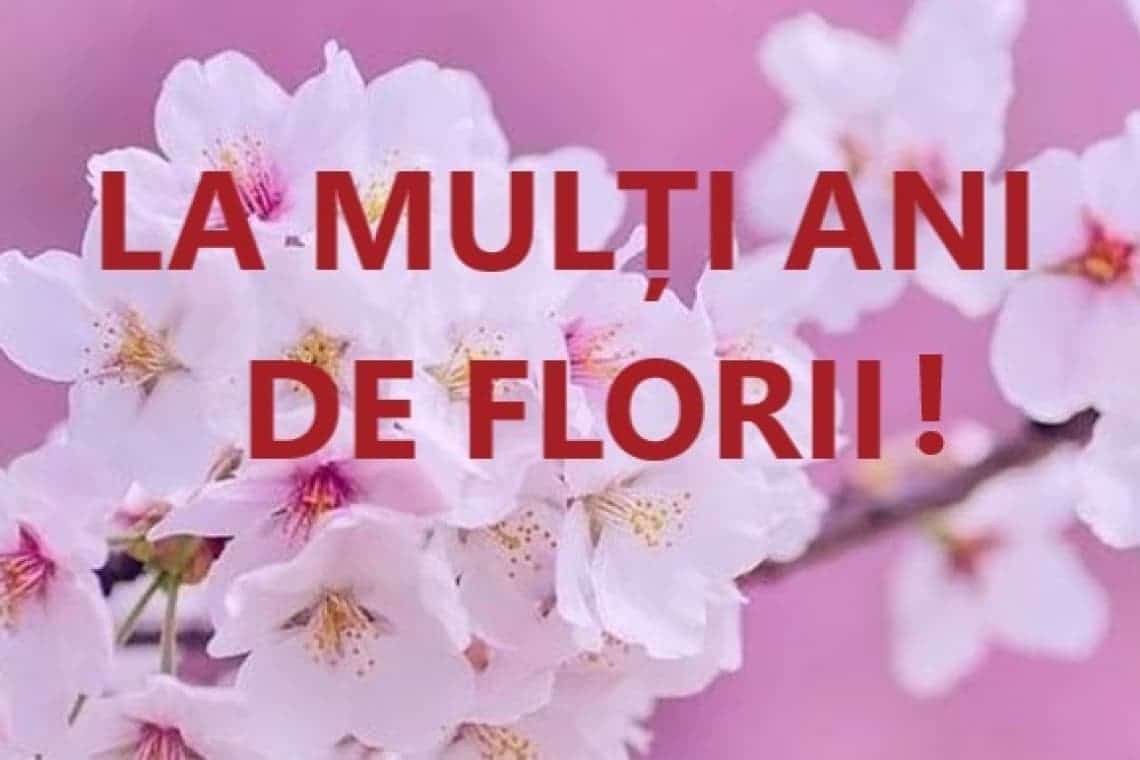 Câți români își sărbătoresc onomastica de Florii/ Care sunt cele mai frecvente nume de flori