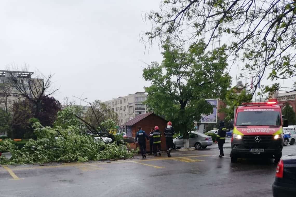 Foto/ Un copac s-a prăbușit peste o mașină, în centrul Ploieștiului. O persoană a fost rănită