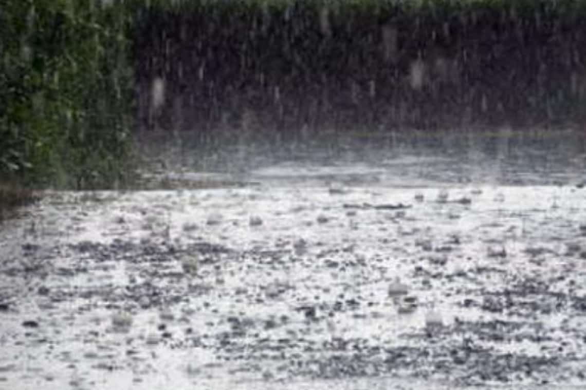 Cod portocaliu de vreme severă imediată pentru localități din sudul Prahovei. A fost emis și mesaj RO - Alert