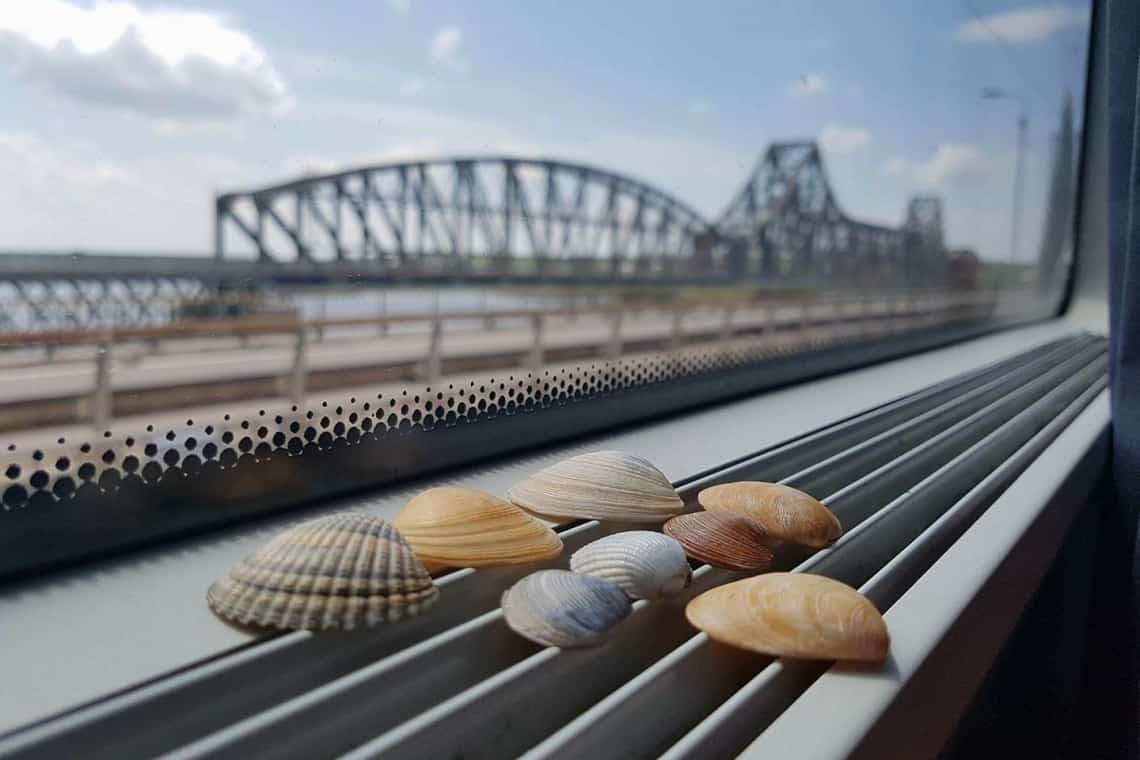 Trenurile Soarelui ale CFR Călători - în circulație din weekend către Litoral și Delta Dunării