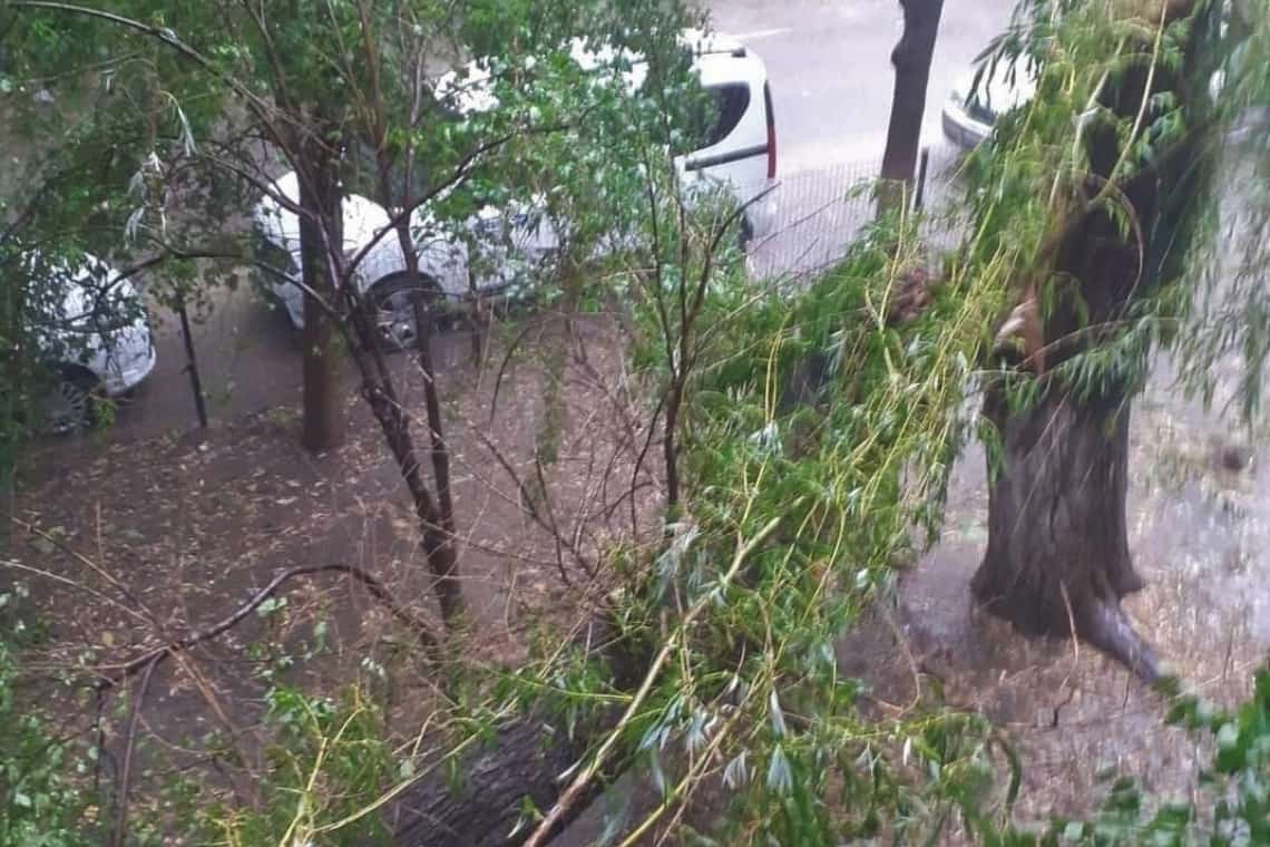 Cod portocaliu/ Copaci căzuți pe carosabil în Ploiești și inundații în Mizil