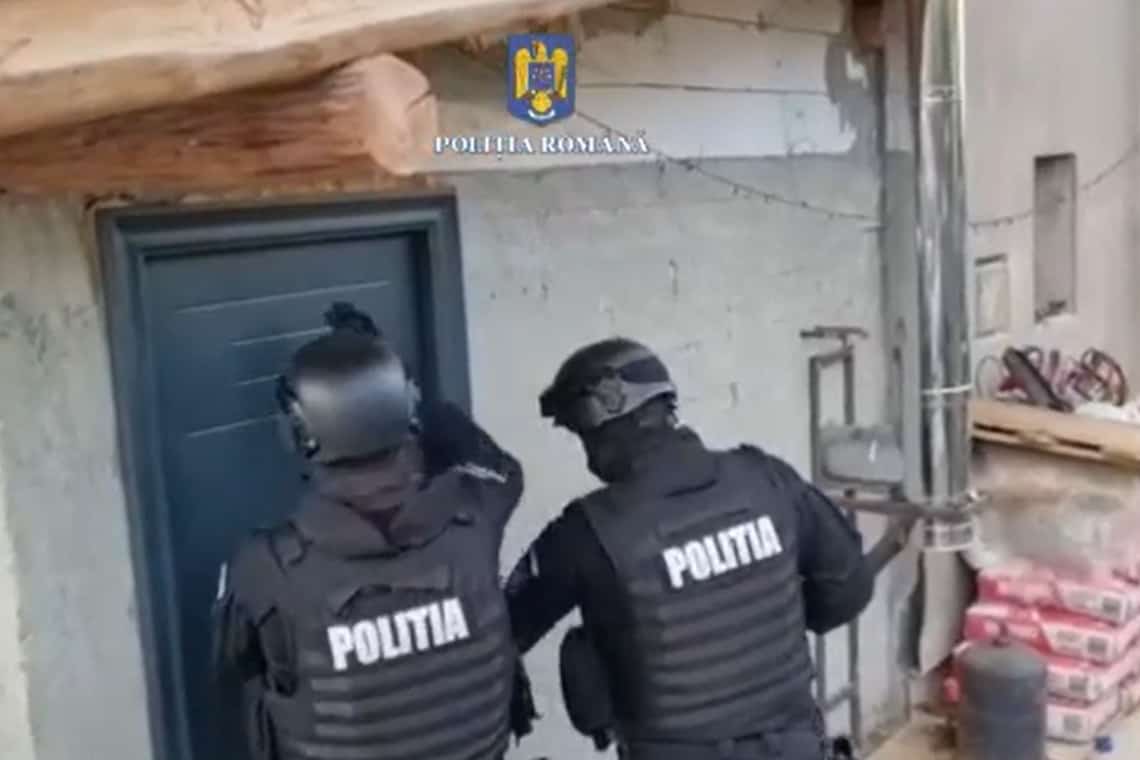 Au bătut în lemn și le-au bătut și mascații la ușă! Percheziții, în Prahova, la suspecți de tăiere ilegală de arbori