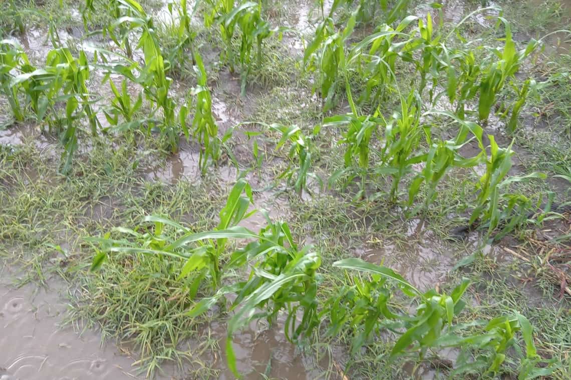 Instituția Prefectului va iniția un proiect de hotărâre de guvern pentru pagubele produse de inundații și grindină