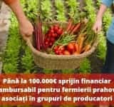 Președintele PSD Prahova, Bogdan Toader: Grupurile de producători din sectorul agricol vor putea primi sprijin financiar nerambursabil de până la 100.000 de euro