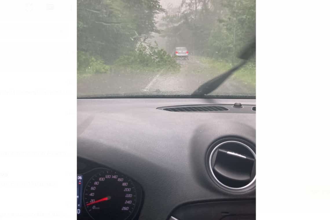 Atenție! Copaci rupți de vijelie blochează parțial drumul prin pădurea Păulești