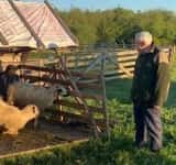 Petre Daea, ministrul cu “Alege oaia”, se întoarce la Agricultură