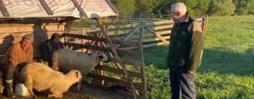 Petre Daea, ministrul cu “Alege oaia”, se întoarce la Agricultură